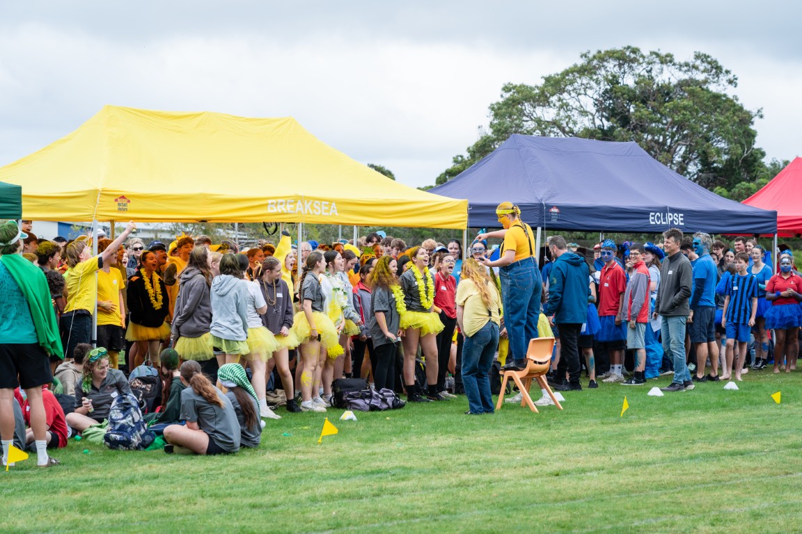 /uploaded_files/media/gallery/1764566048ATHS 25-13 (Medium).jpg